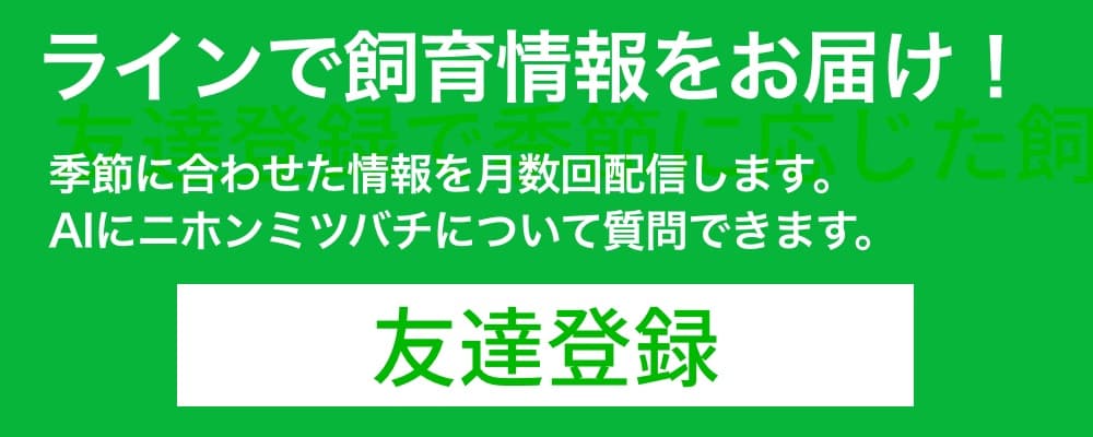 line登録はこちら