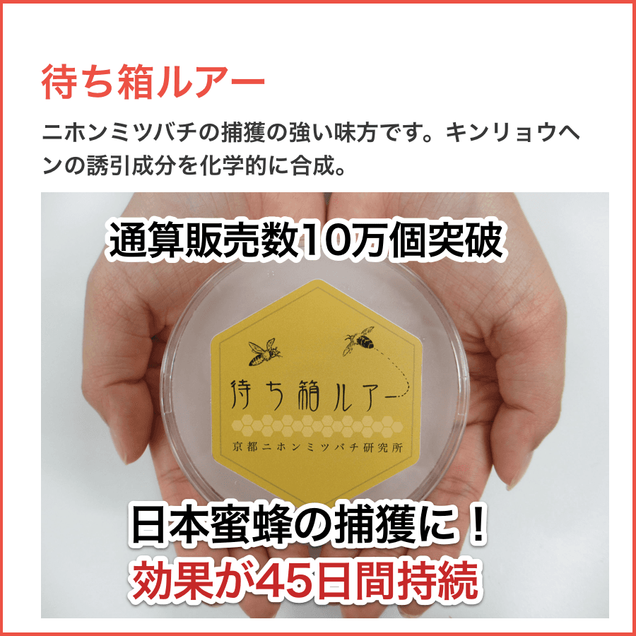 記事内広告