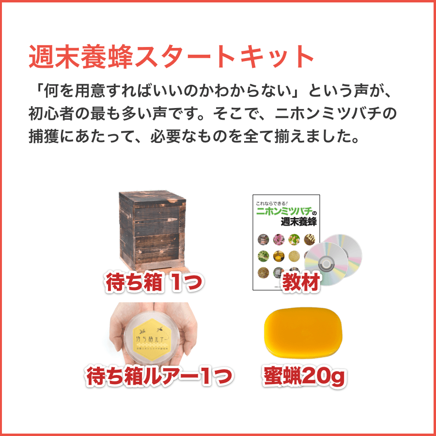 記事内広告