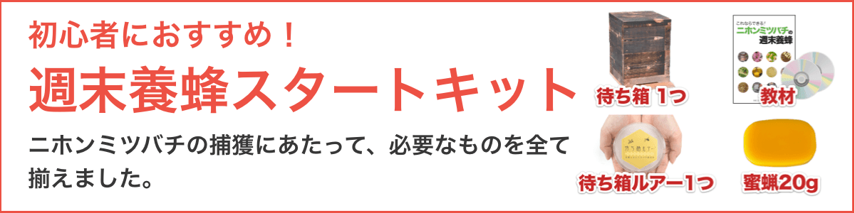 記事内広告