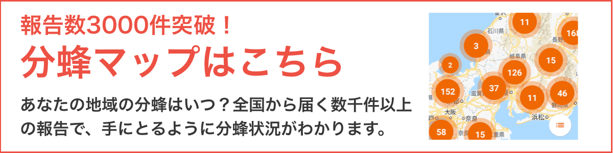 記事内広告