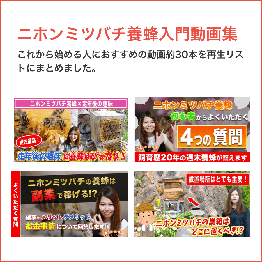 記事内広告