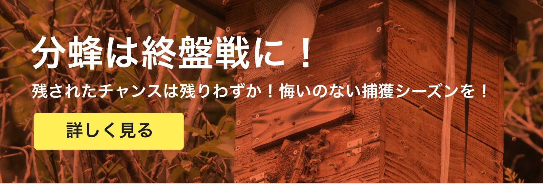 分蜂直前！