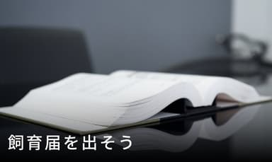 飼育届を出そう