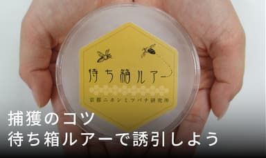 待ち箱ルアーで誘引