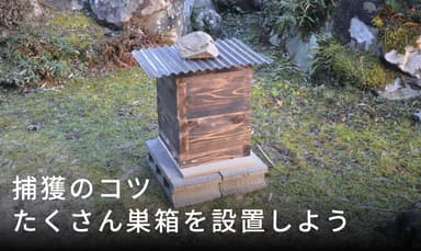 たくさん巣箱を用意する