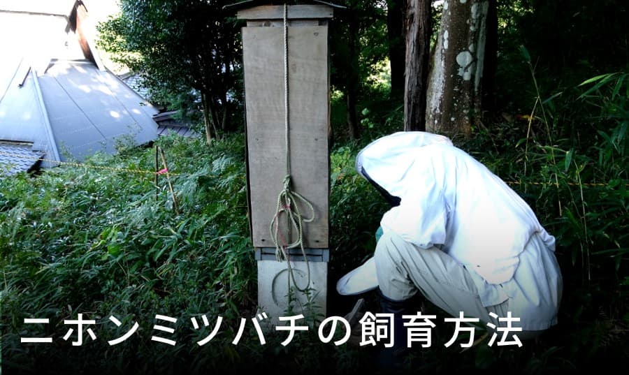 飼育方法