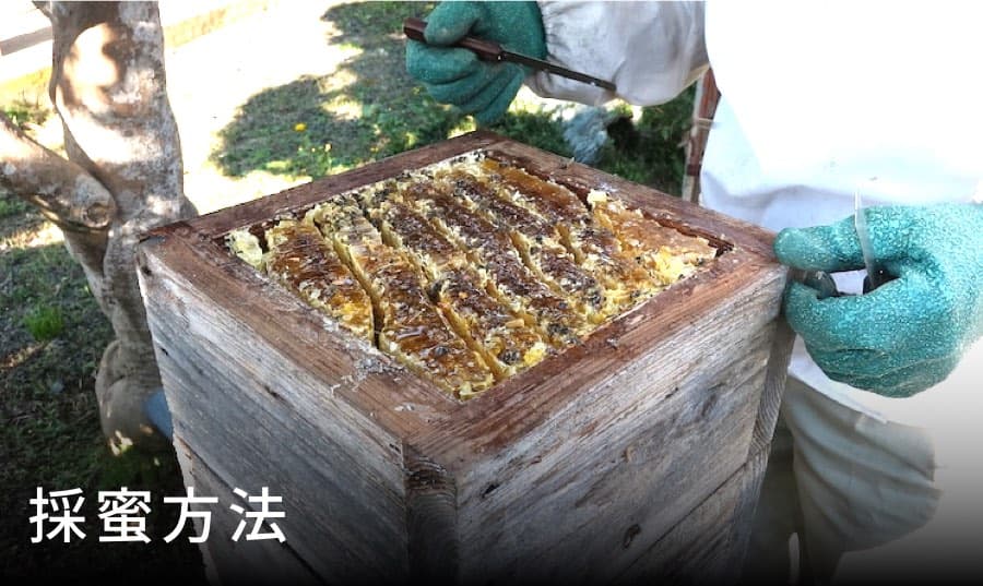 採蜜方法