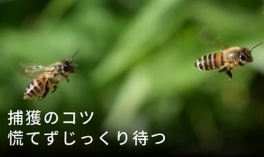 慌てずに待つ