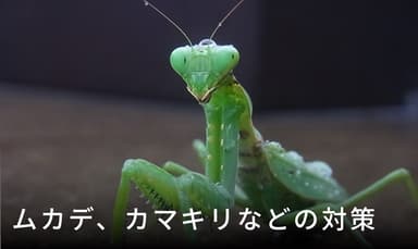 その他の外敵対策