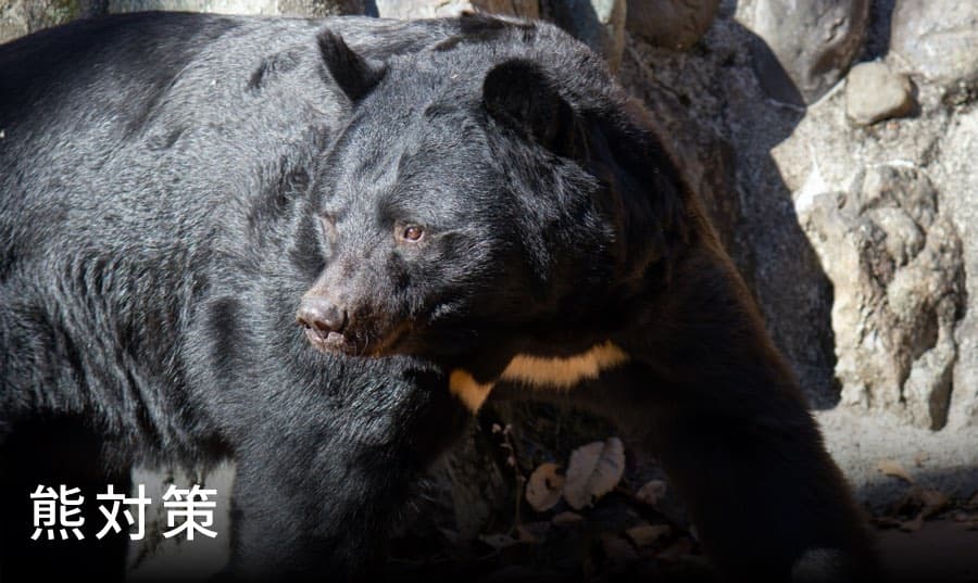 熊対策