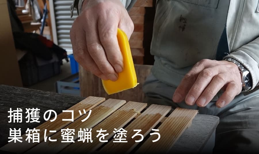 巣箱に蜜蝋を塗る