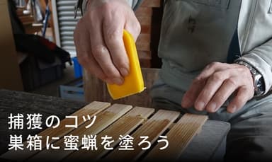 巣箱に蜜蝋を塗る