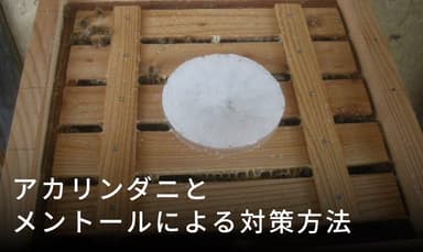 アカリンダニ