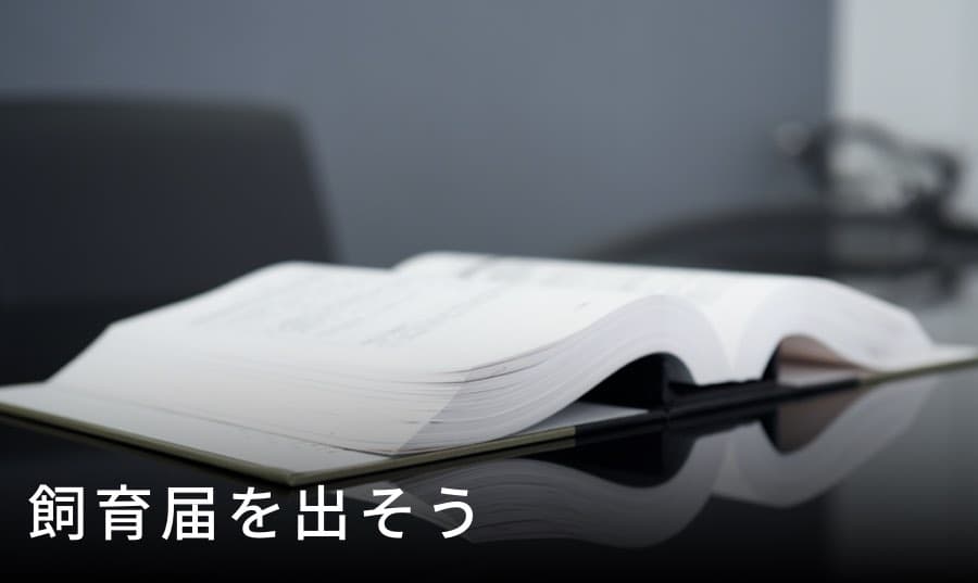 飼育届を出そう