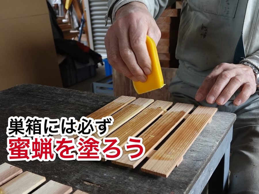 巣箱に蜜蝋を塗る方法｜ニホンミツバチを誘引する捕獲のコツ