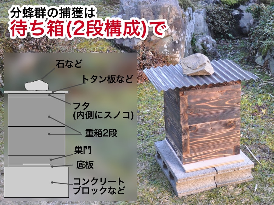 ニホンミツバチの重箱式巣箱(蜂箱、養蜂箱)の作り方