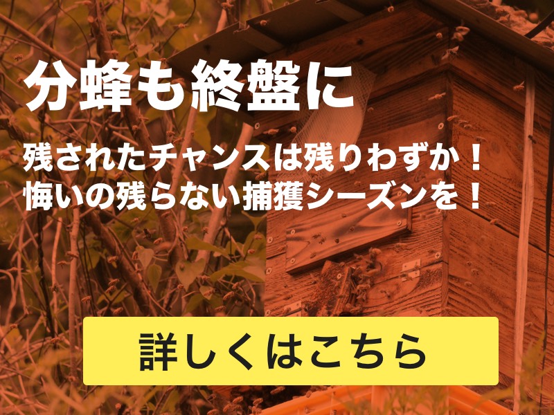 探索蜂とは？巣箱を設置したら慌てずに待つ｜入居確認の方法も解説