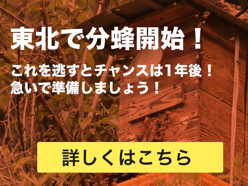 ニホンミツバチの巣箱の出入り口の大きさはどのくらいですか？