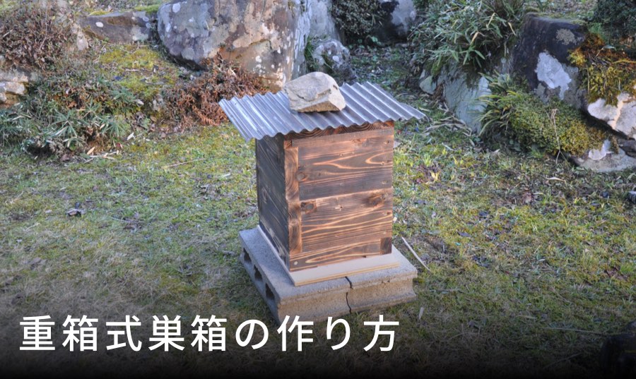 巣箱の設置場所と数｜ニホンミツバチ捕獲率を上げる分散配置のコツ